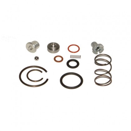 Cam Chain Tensioner Repair Kit Porsche 911 & 930 Turbo 1965-1983 (Early type)