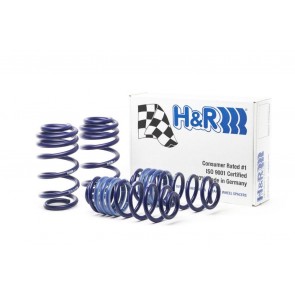 Buy H&R Lowering Spring Kit All Carrera 2 & C2S 2005-2012 online